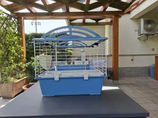 Gabbia per roditori blu e bianca
