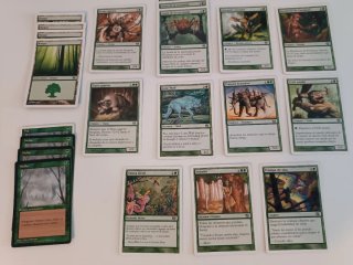 Lote Cartas Magic: The Gathering Mirrodin