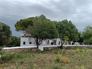 Finca Rústica