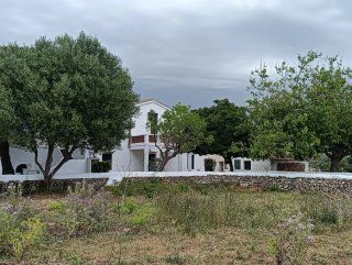 Finca Rústica