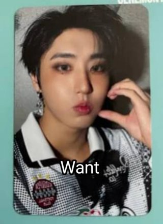 Photocard Stray Kids Lee Know Hyunjin WTT