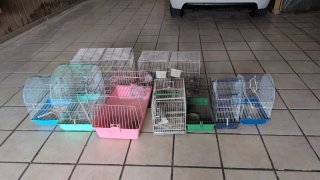 Lote de jaulas para pájaros, hámster, cobaya
