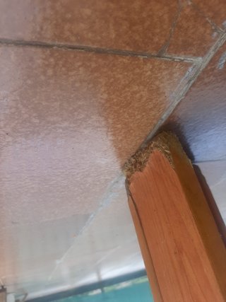 Mesa de comedor