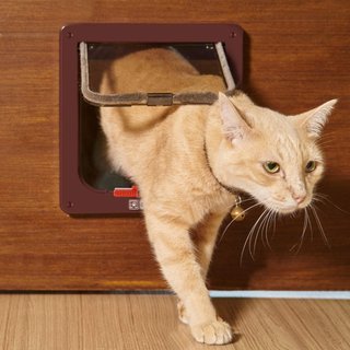 Puerta para gatos Sailnovo resistente intemperie