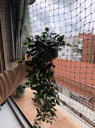 Pack 7 Plantas Artificiales Decorativas IKEA