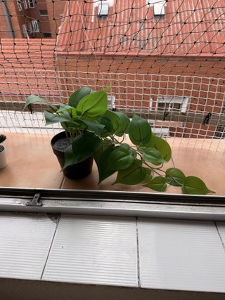 Pack 7 Plantas Artificiales Decorativas IKEA