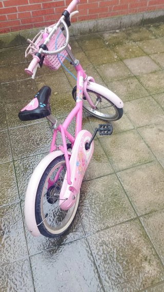 Bicicleta Niña Rosa