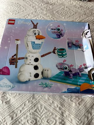 LEGO Disney Olaf y Bruni Diversión Picnic