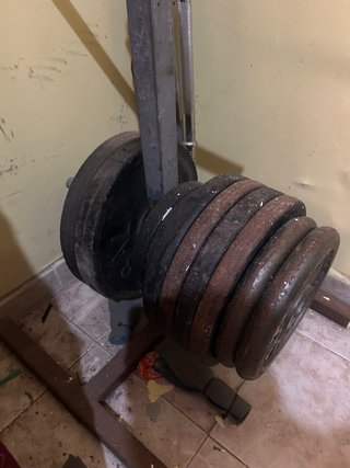 Barras y discos gym.
