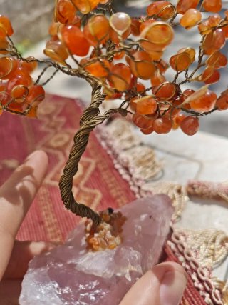 Bonsai,Albero della vita feng shui in corniola