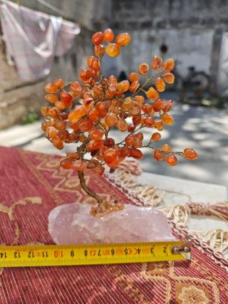 Bonsai,Albero della vita feng shui in corniola