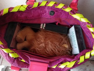 Borsa Versace vintage fucsia e lime