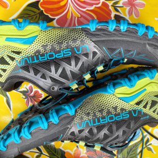 La Sportiva Bushido II GTX Zapatillas Trail Negro/