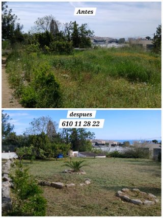 Servicio de jardinería