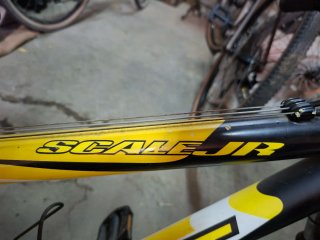 Bicicleta Scott 21