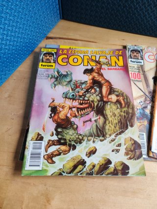 Lote Cómics Conan - La Espada Salvaje (Forum)