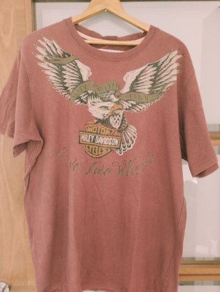 Camiseta Harley-Davidson Águila Hombre