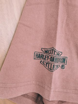 Camiseta Harley-Davidson Águila Hombre