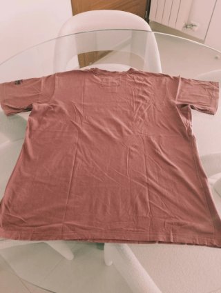 Camiseta Harley-Davidson Águila Hombre