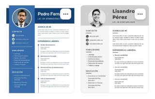 CV personalizado. Currículum vitae profesional