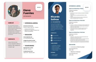 CV personalizado. Currículum vitae profesional
