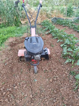 Motocultor OMEGA TILLER QJ301121