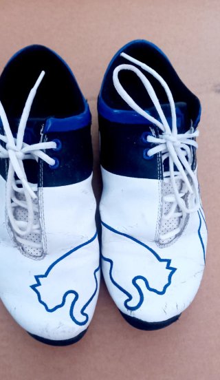 Lote de zapatillas Bikkembergs, Puma, Tommy Hilfig