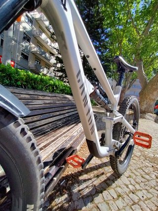 Canyon Torque AL5 (2023) L