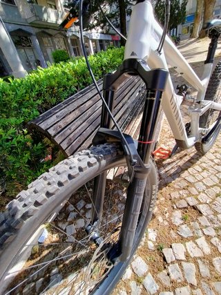 Canyon Torque AL5 (2023) L