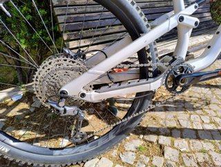 Canyon Torque AL5 (2023) L