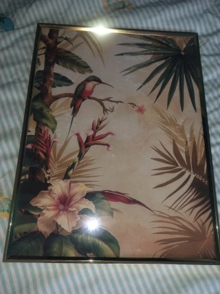 Flores y colibríes.