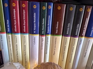 Colección mejores novelas del siglo XX