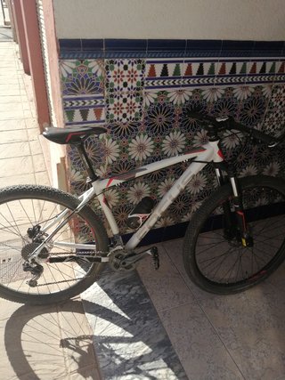 Bicicleta 29 Focus Edition