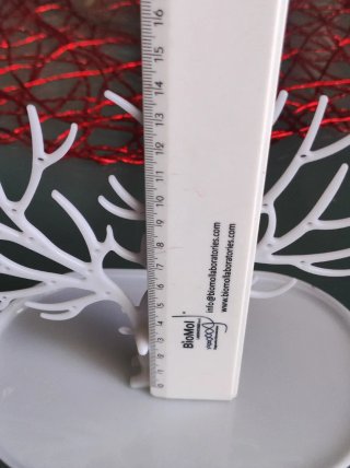 Portagioie albero con cervo