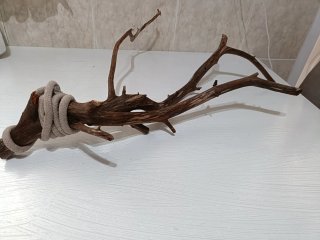 Ramas sin corteza terrario 59 cm