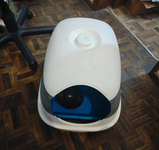 Conjunto Caixa Areia Gato