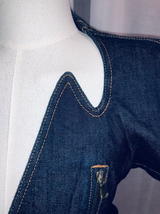 ALEXANDER McQUEEEN "Plato's Atlantis" 2010 Denim