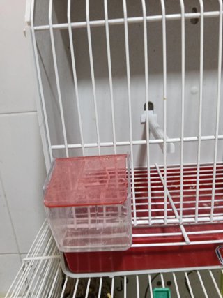 Jaula para pájaros