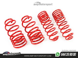 MUELLES DEPORTIVOS MTS TECHNIK MTSXVW289