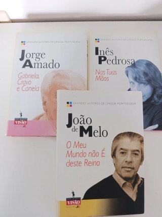 Lote libros en portugués