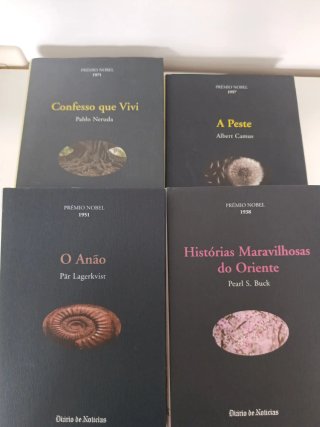 Lote libros en portugués