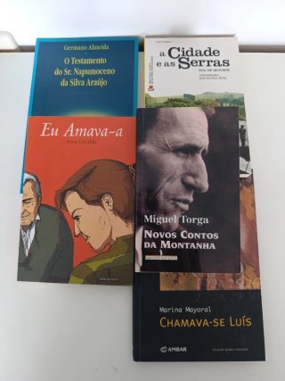 Lote libros en portugués