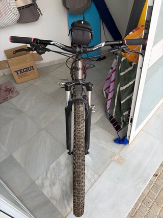 Bicicleta de Montaña