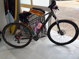 Bicicleta de Montaña