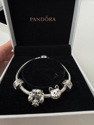 Pulsera Pandora Plata con 2 Charms