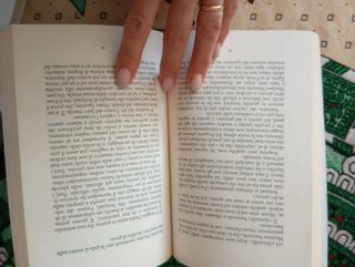 La masseria delle allodole