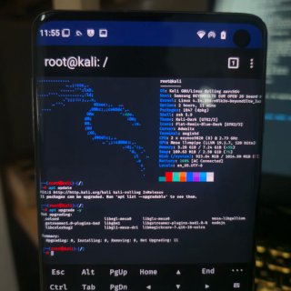 Samsung Galaxy S10 NetHunter