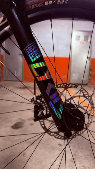 Vendo e-Bike Forestal Siryon Halo Talla L Carbono!