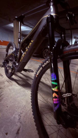 Vendo e-Bike Forestal Siryon Halo Talla L Carbono!