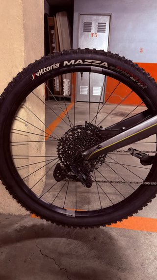 Vendo e-Bike Forestal Siryon Halo Talla L Carbono!